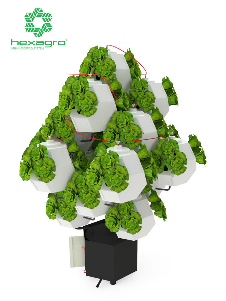 Hexagro Groundless Cropping System (3)