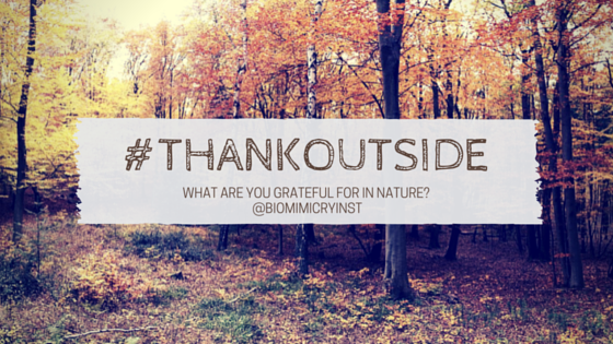 #ThankOutside: Share what you’re grateful for in nature