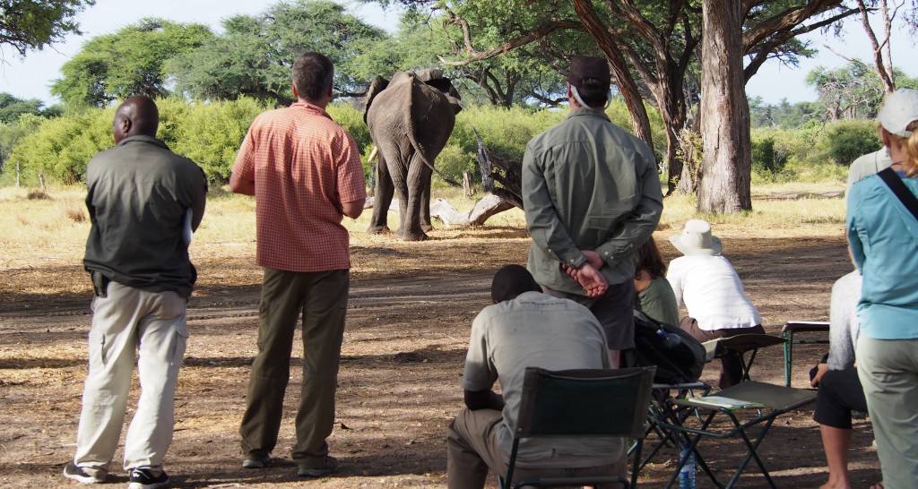  In-person Session 6. Moremi Game Reserve Campsite, Botswana, November 2015 (Photo - Rachel Hahs)