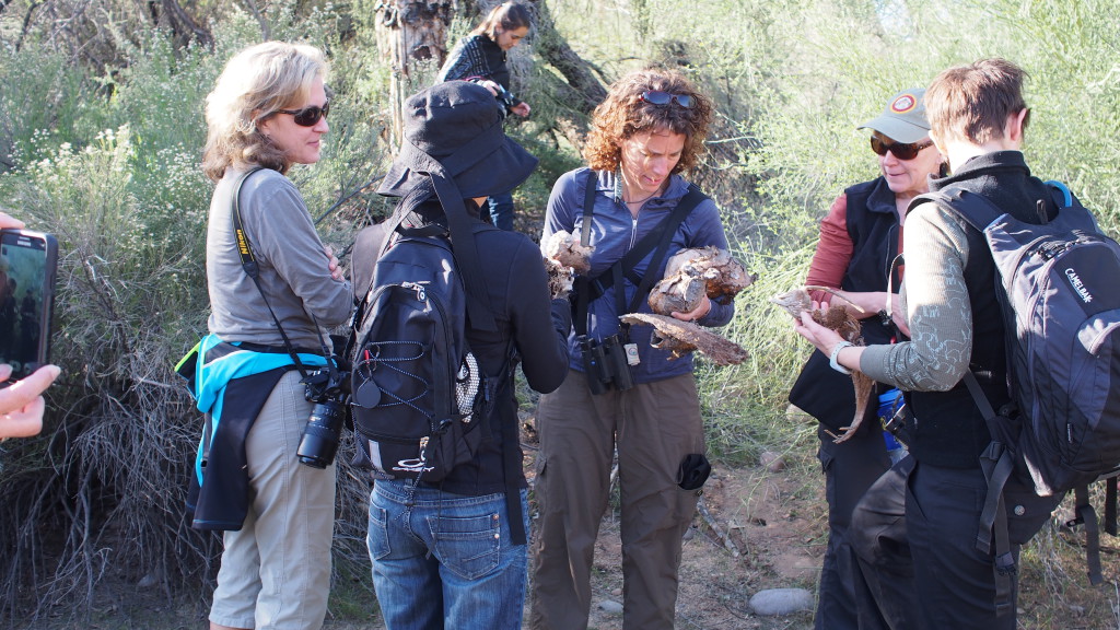 In-person Session 2, Sonoran Desert, United States – February 2014. For insight into what we experience in our in-person sessions, check out Denny Royal’s blog posts in the links above. (Photo – Rachel Hahs)