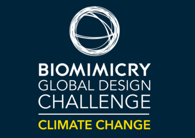 Five teams advance to biomimicry entrepreneurship accelerator