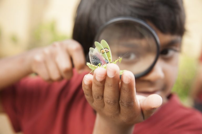 Four Engaging Ways to Bring Biomimicry into Your Classroom
