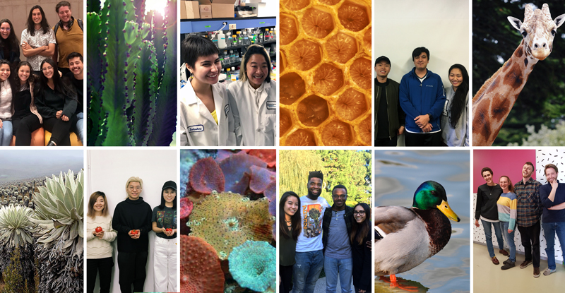10 Finalist Teams Use Lessons from Nature to Create Radical Solutions to Climate Change Problems