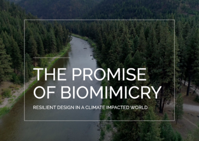 Join the Live Watch Party for “The Promise of Biomimicry” Premiering January 23
