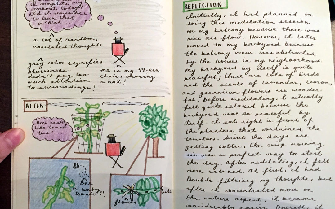 Summer Journal: 30 Days of Reflection and Reconnection