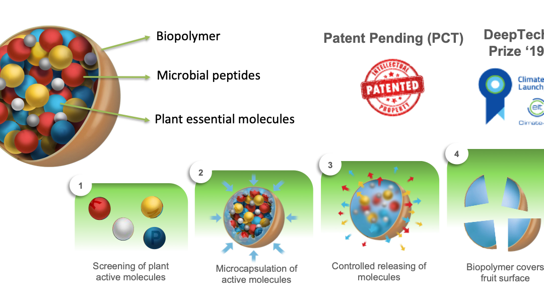 Microsome-Nanomik