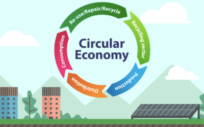 How I Found the Circular Economy:  Biomimicry and the Power of Design