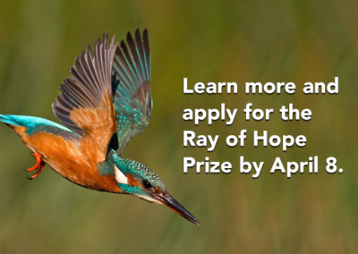 Applications Open for Nature-Inspired Startups to Receive $100,000 Ray of Hope Prize