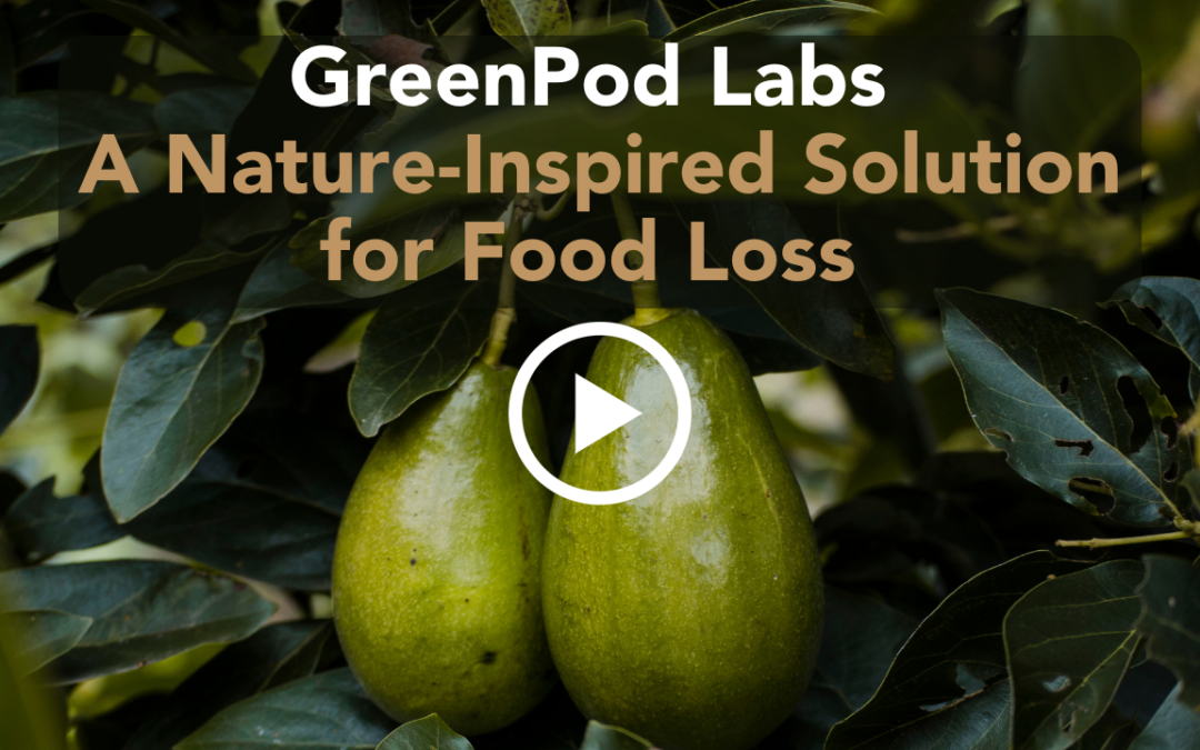 Play Button GreenPod Labs A Nature-Inspired Solution for Food Loss