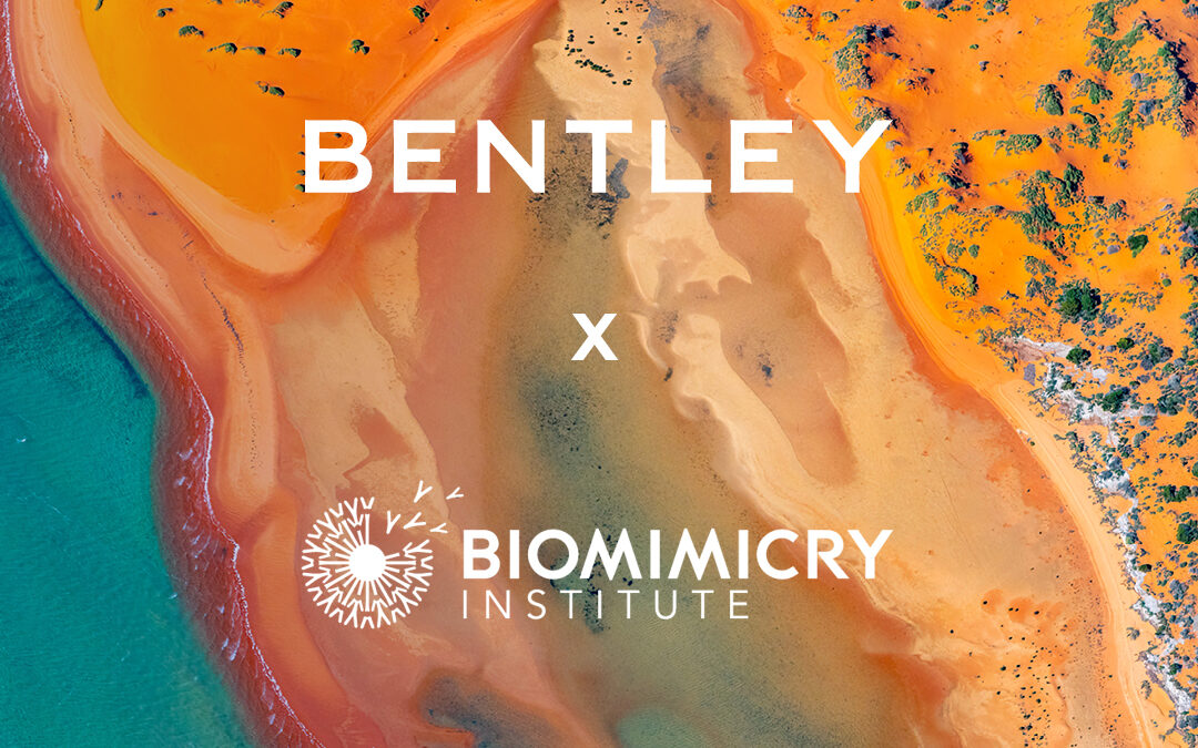 BEN_CEN_11959888_Bentley_EFP_Biomimicry_1080x1080