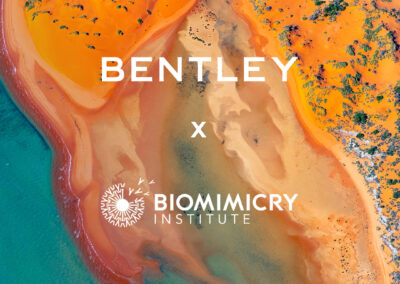 Bentley Environmental Foundation to Sponsor Ray of Hope Prize Fellowship