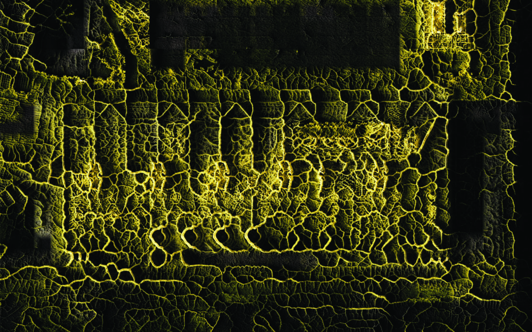 6a_Translation of the Centre Pompidou based on the GAN-Physarum algorithm ©ecoLogicStudio (1)