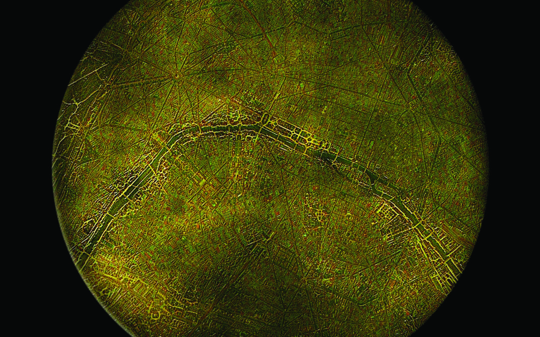 6c_GAN-Physarum 10by10 km Frame – Paris Iteration ©ecoLogicStudio
