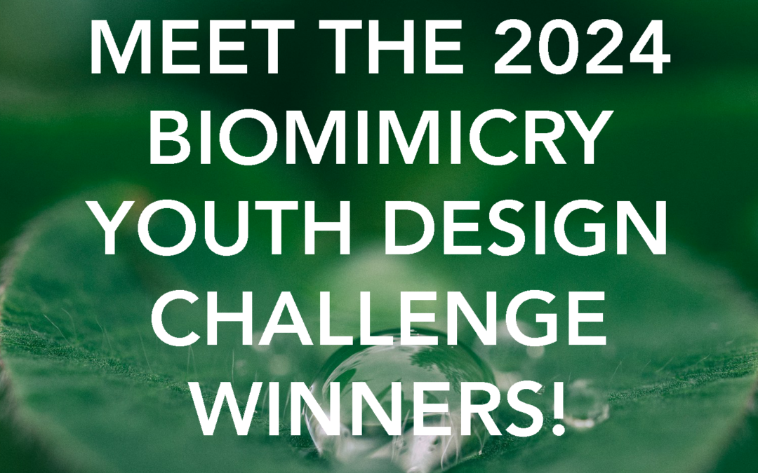Meet the Newest Young Innovators in Biomimicry – YDC 2024