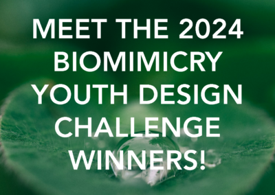 Meet the Newest Young Innovators in Biomimicry – YDC 2024