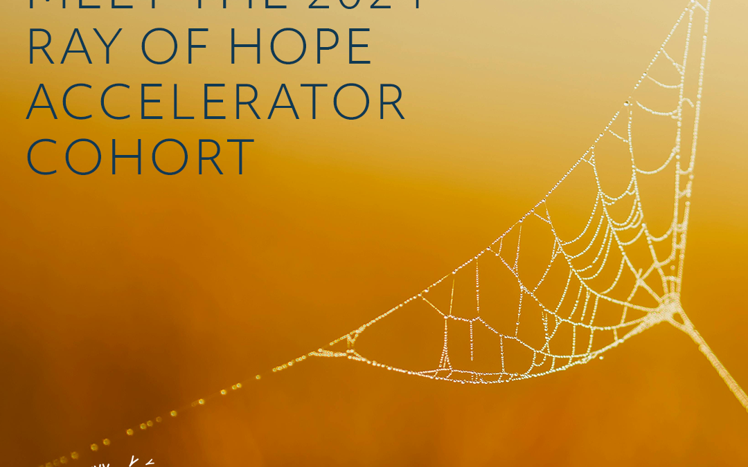 Biomimicry Institute Announces 2024 Ray of Hope Accelerator Cohort