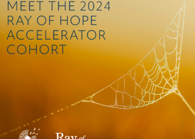 Biomimicry Institute Announces 2024 Ray of Hope Accelerator Cohort