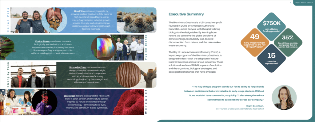 Five Years of Nature-Inspired Innovation: Our Impact Report Is Out 