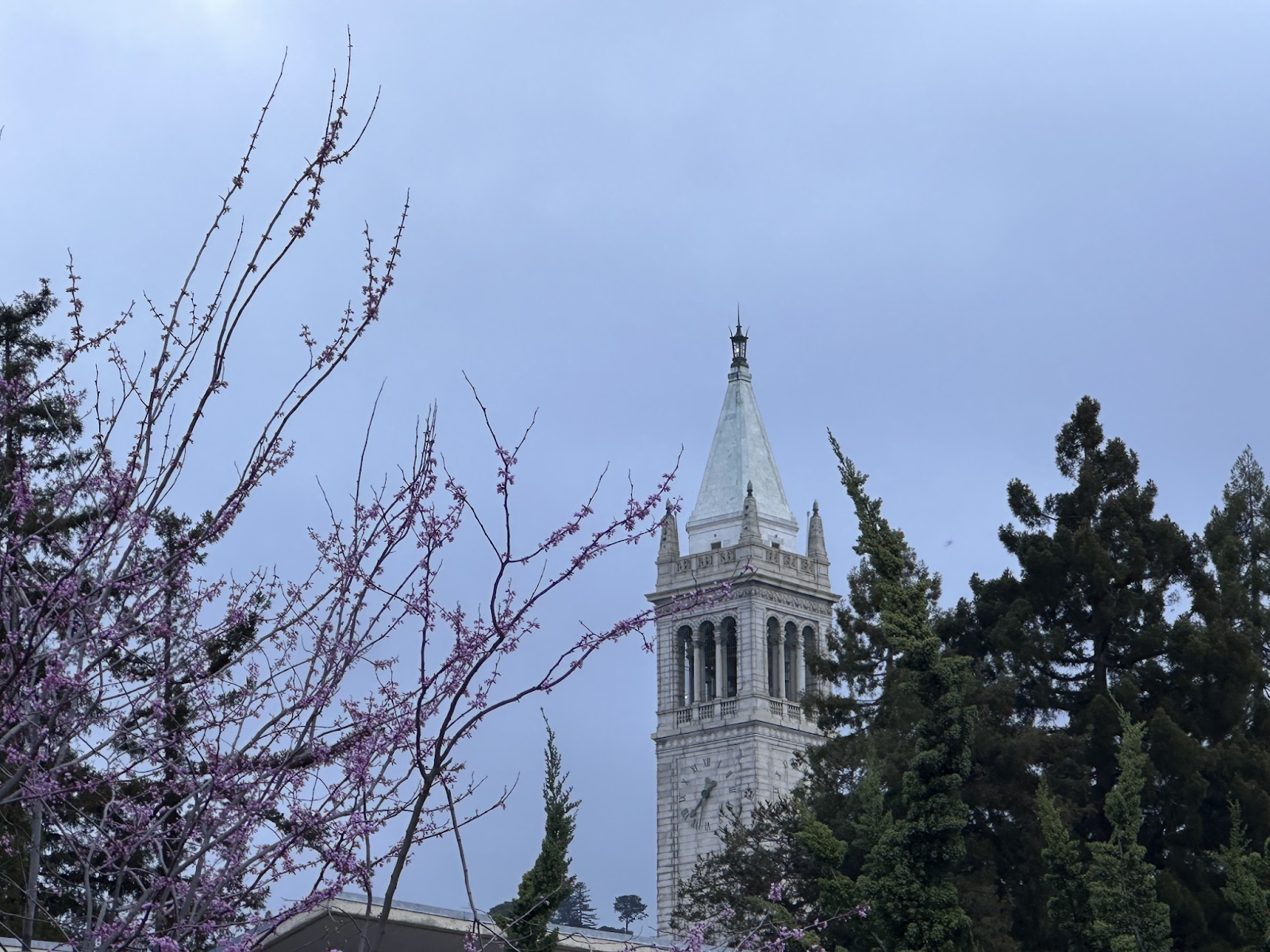 We are Nature Embodied: Reflections from Bioneers 2025 - The Biomimicry ...