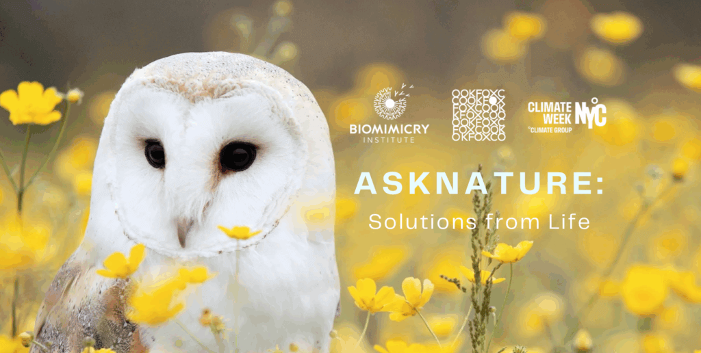 Climate Week NYC - The Biomimicry Institute