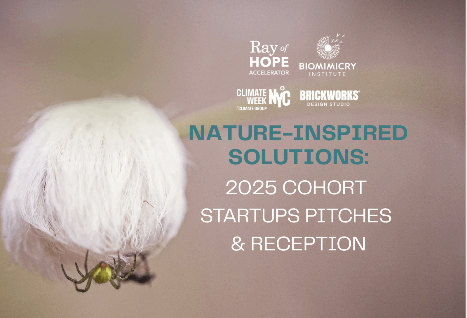 Climate Week NYC - The Biomimicry Institute
